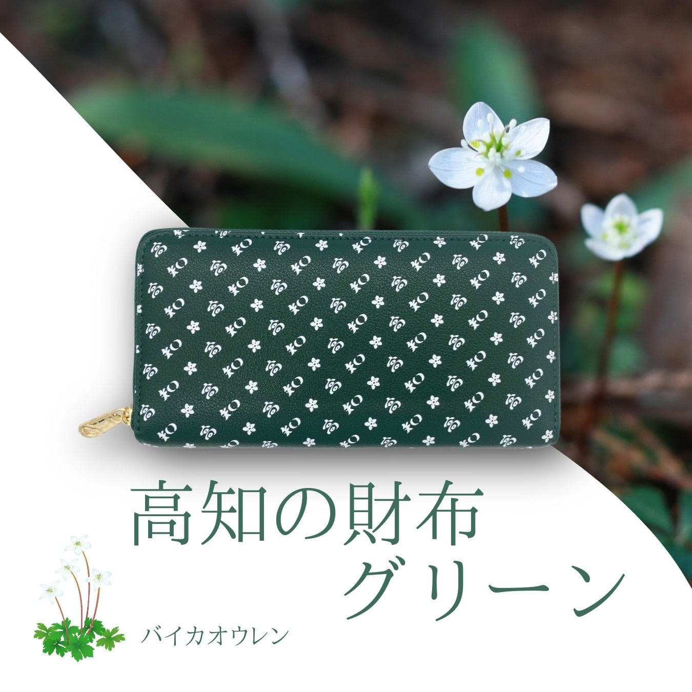 高知の財布 グリーン