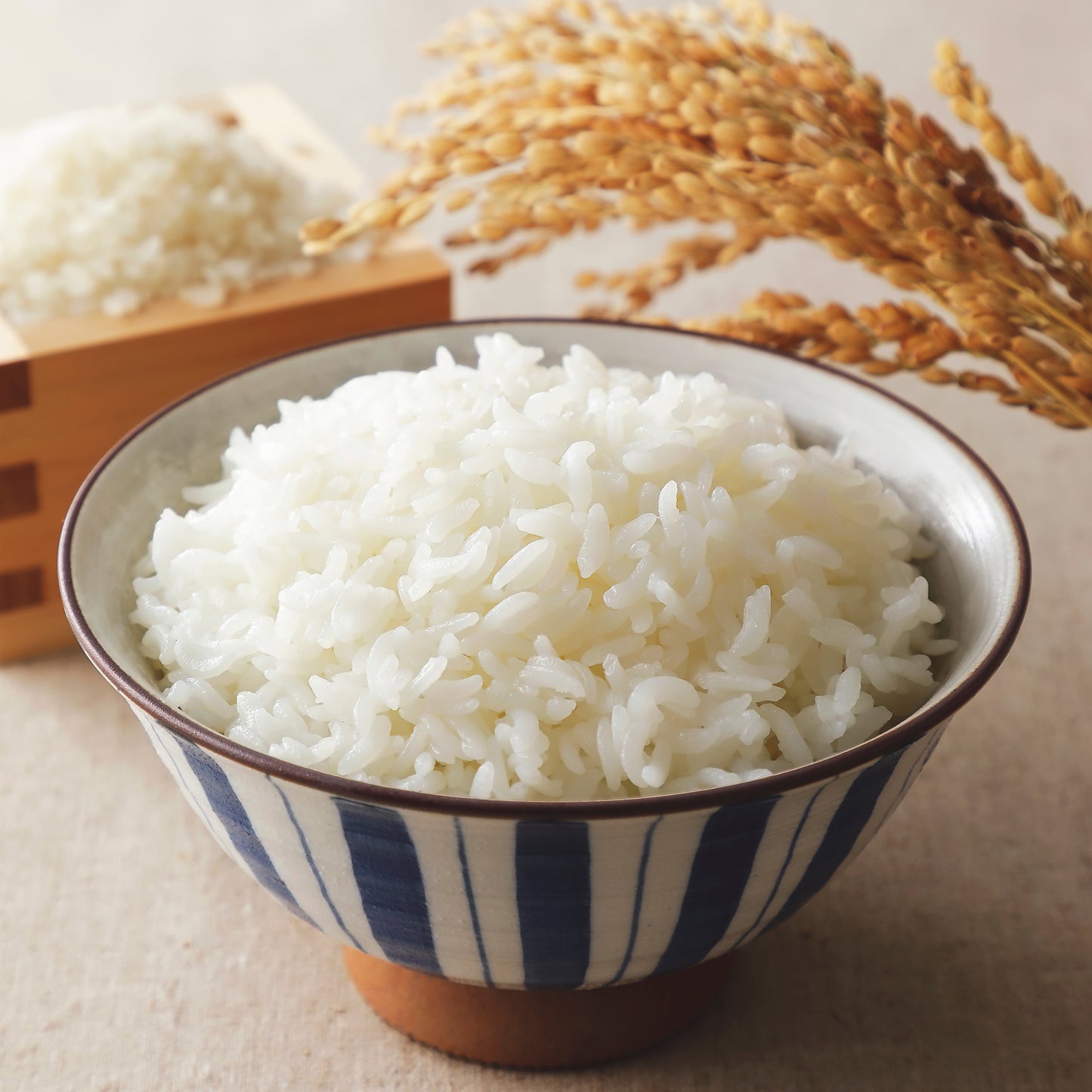 【令和7年度産 新米】土佐コシヒカリ5kg